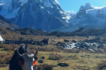 Kanchenjunga Circuit Trek