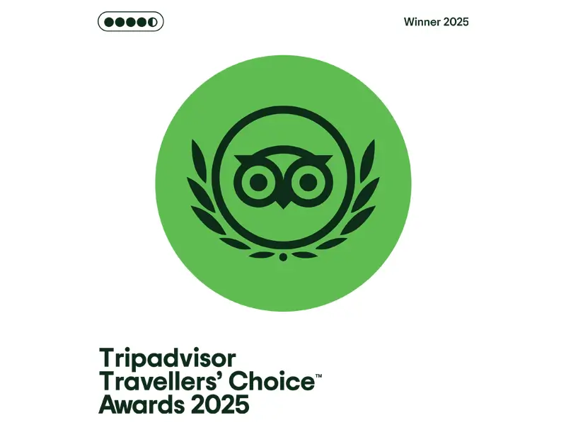 tripadvisor 2025