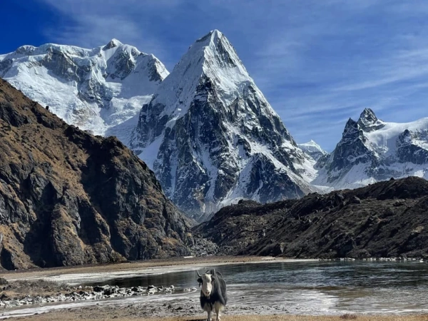 Discover the Untouched Beauty of the Kanchenjunga Region