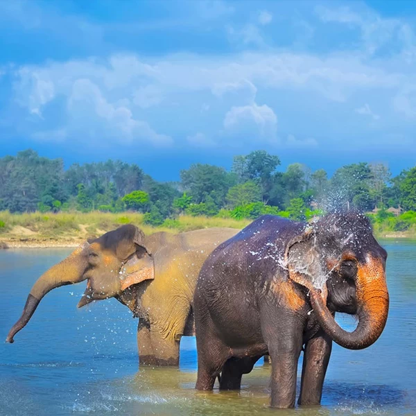 Nature & Wildlife