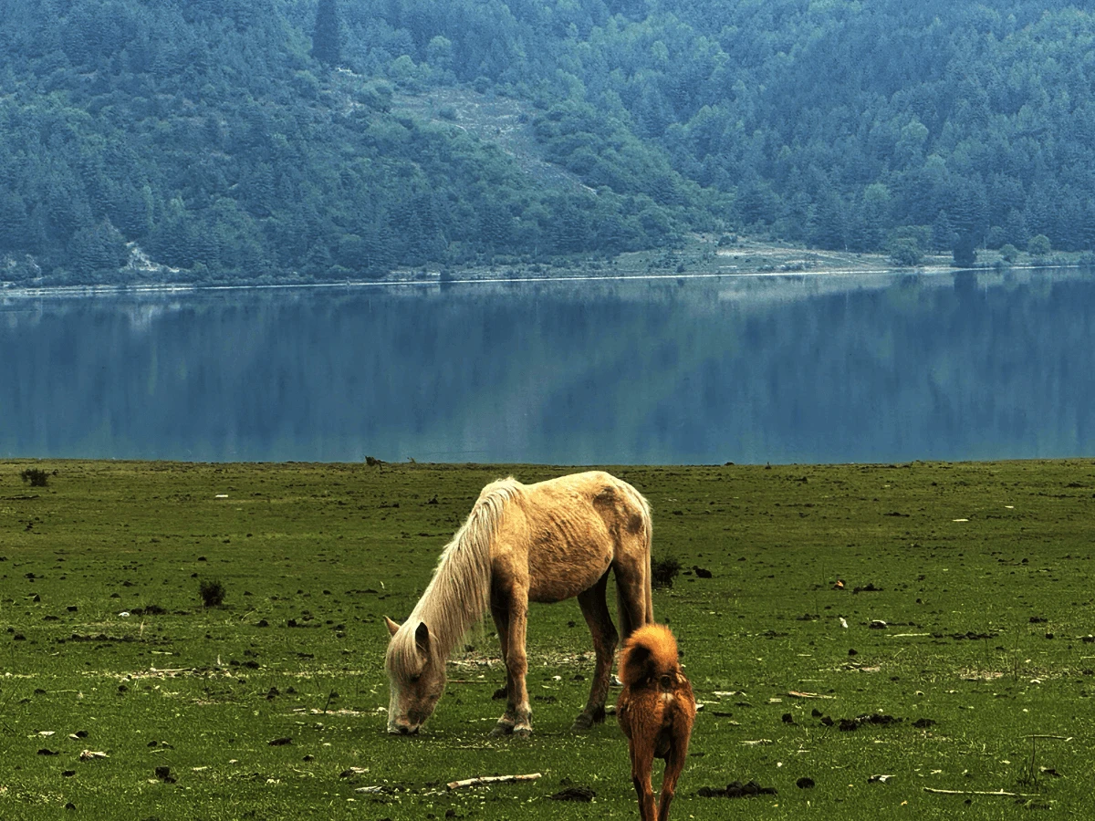 Jumla - Rara Trek