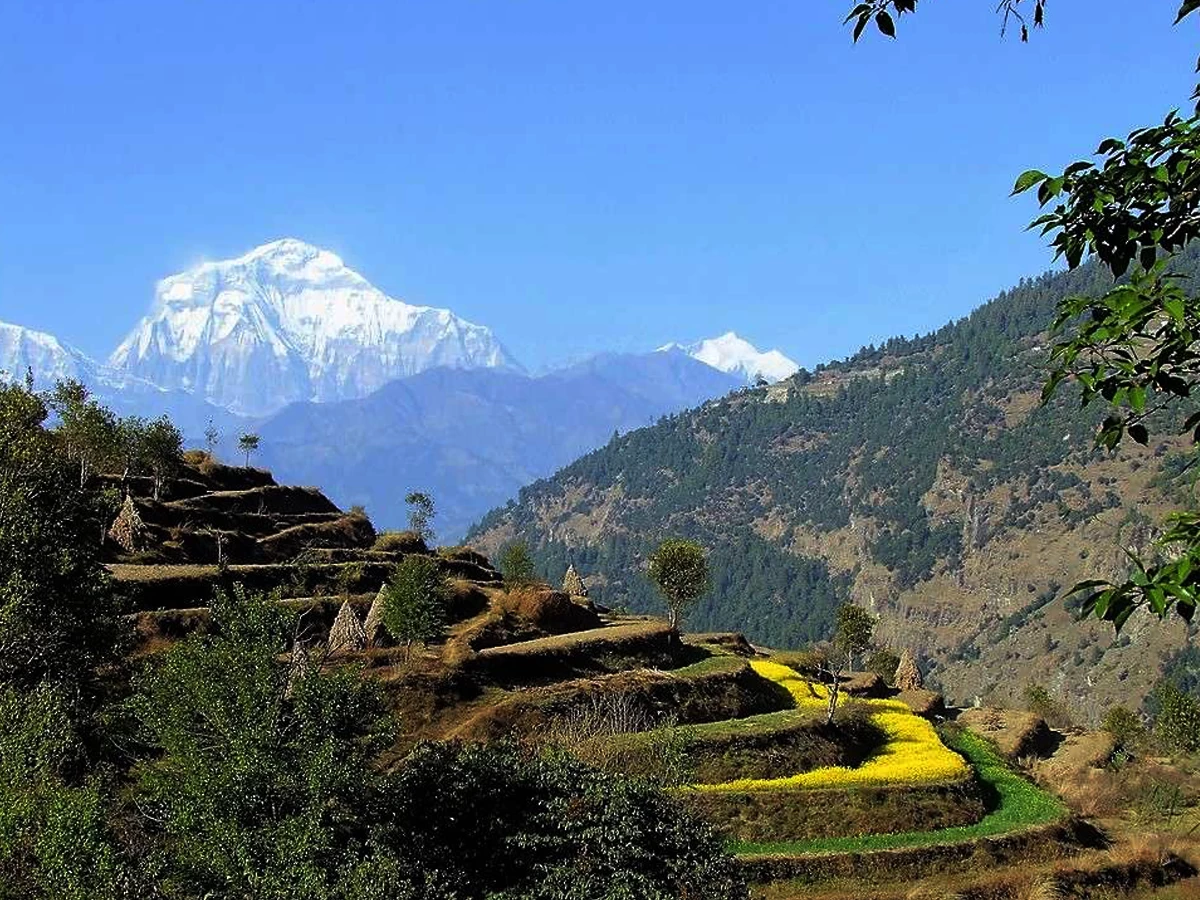 Khopra Danda Yoga Trek - 14 Days
