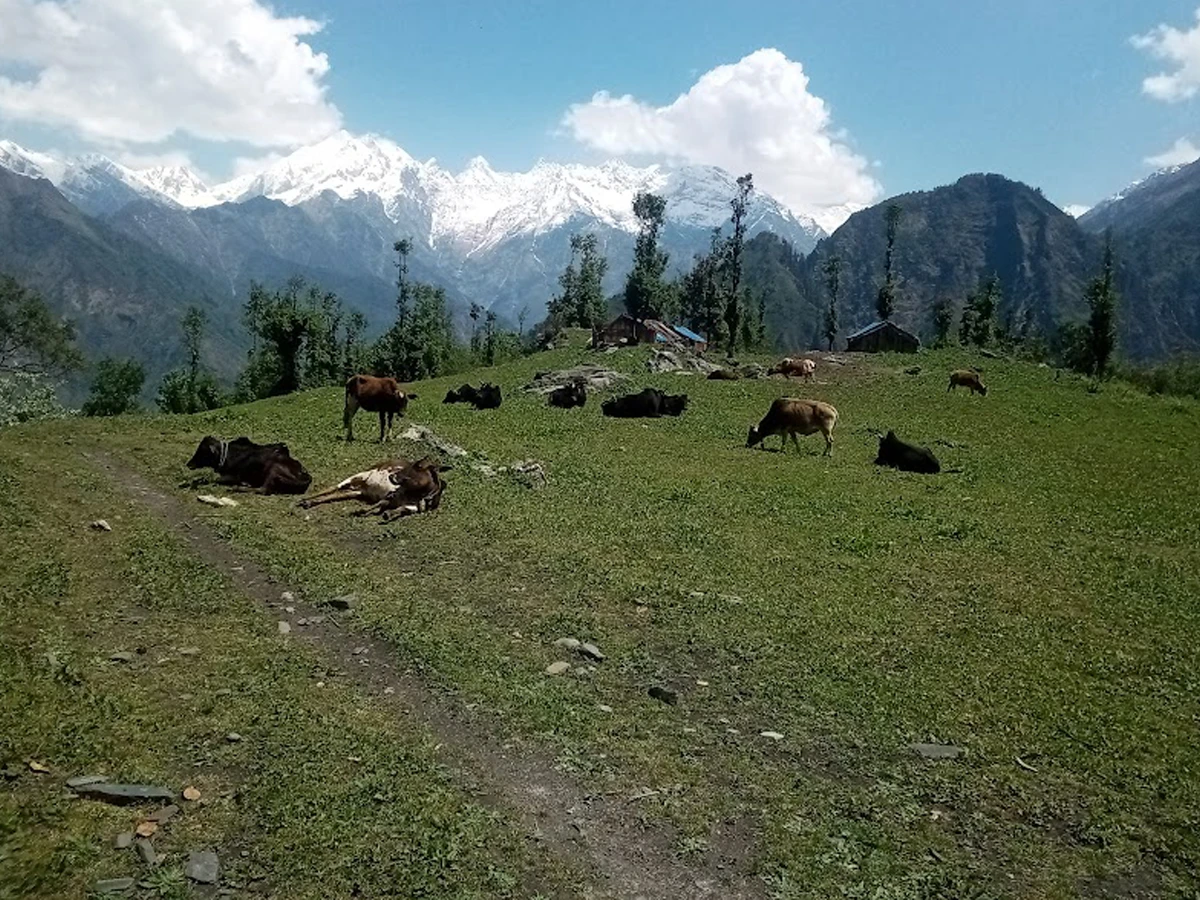 Api Himal Base Camp Trek