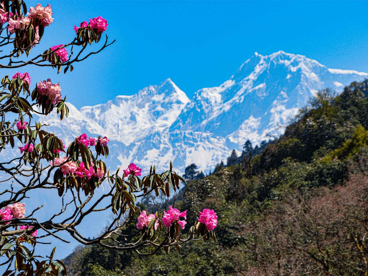 Baraha Pokhari Trek