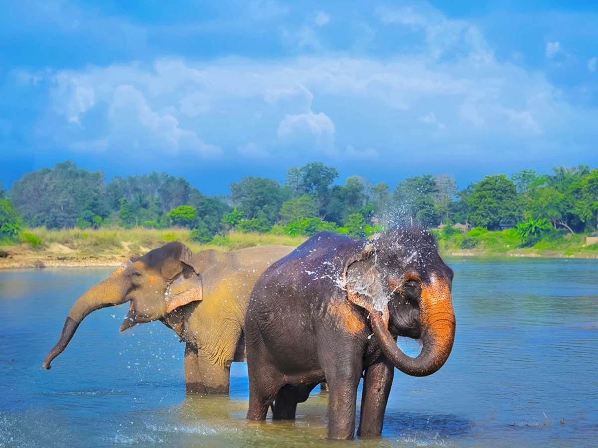 Ghorepani Poonhill Trek with Chitwan