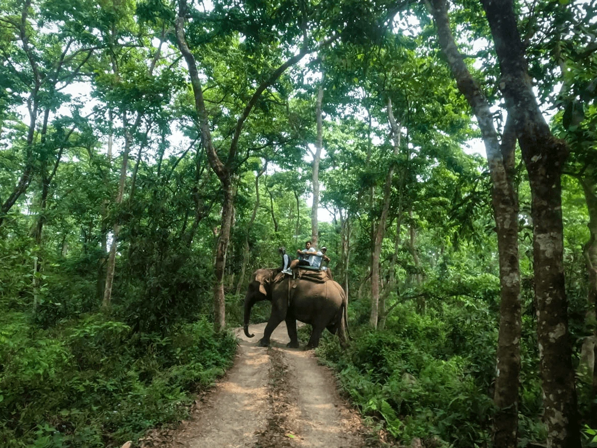 Classic Nepal Tour & Ghorepani Trek