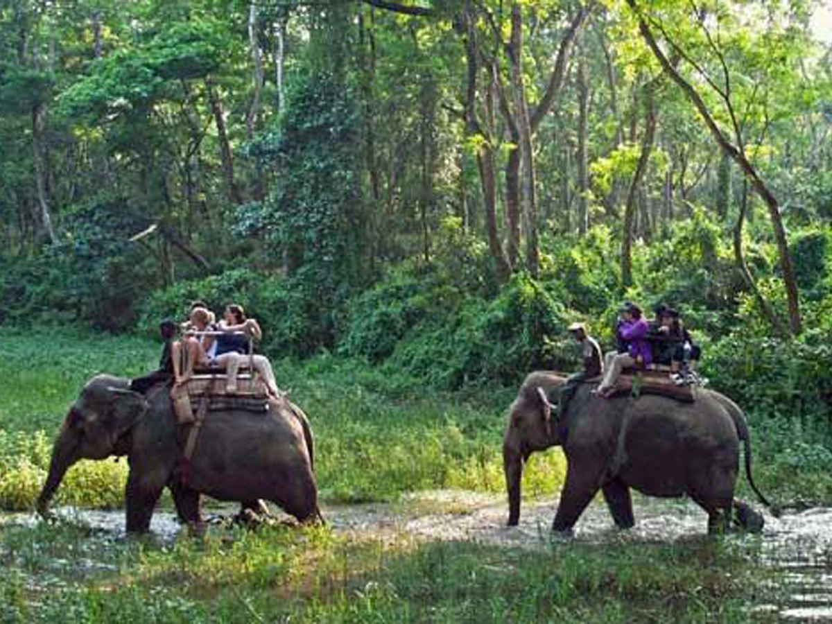2 Nights 3 Days Chitwan Tour