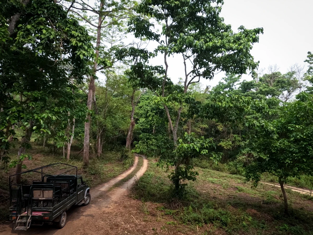 3 Nights 4 Days Chitwan National Park Tour