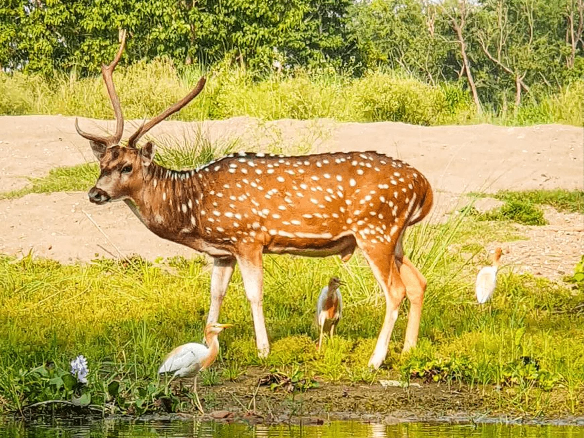 Ghalegaun Cultural Village Tour with Chitwan