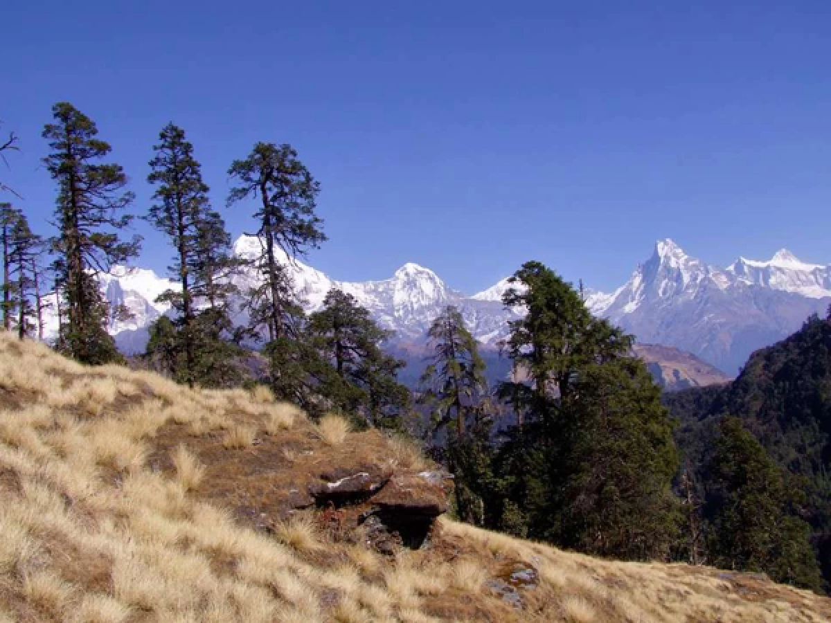 Khopra Danda Trek - 13 Days