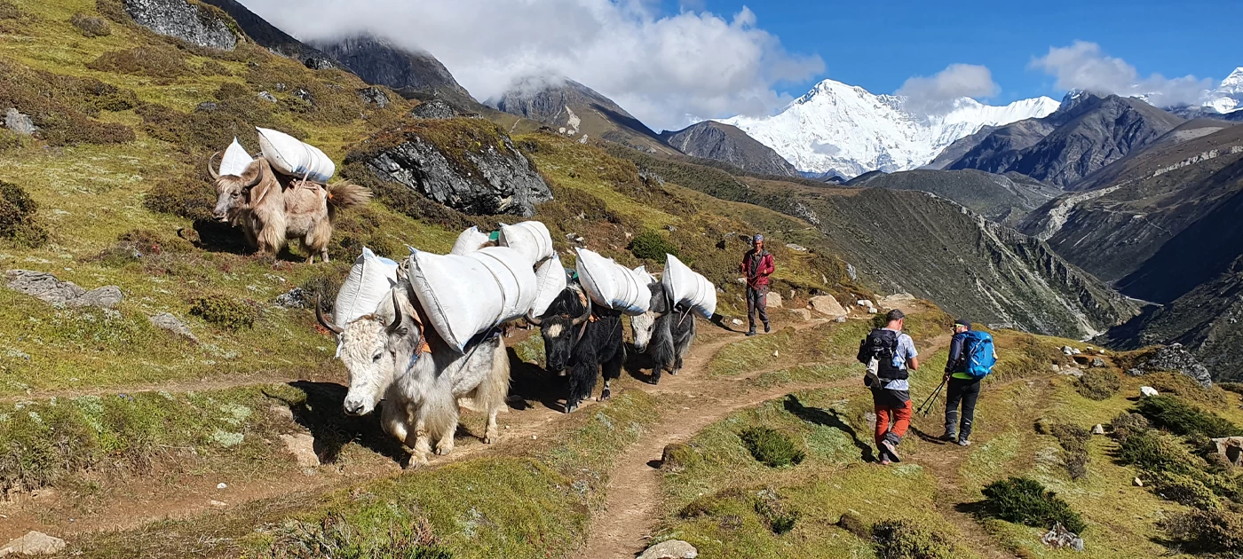 Treks in Nepal