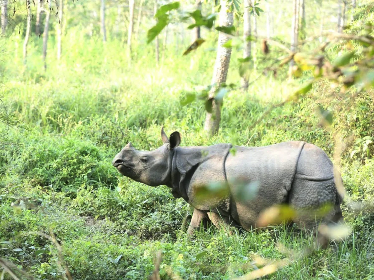 Alluring Nepal Tour