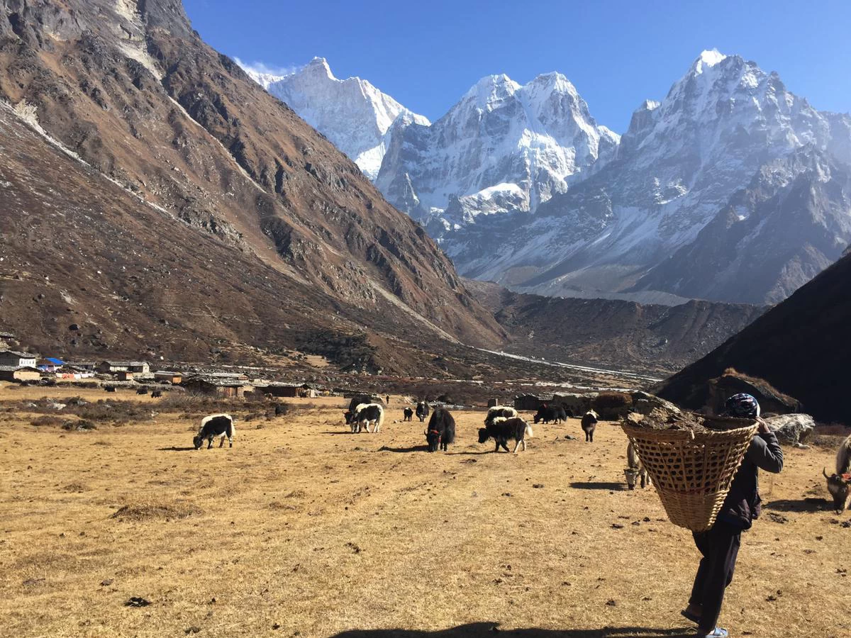 Kanchenjunga South Base Camp Trek