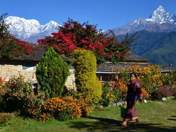 Dhampus – Naudanda Hike from Pokhara