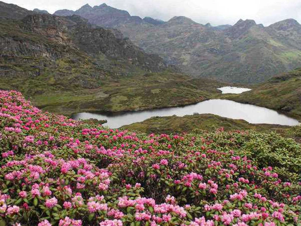 Druk Path Trek - Bhutan