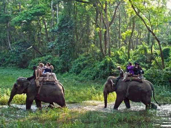 2 Nights 3 Days Chitwan Tour