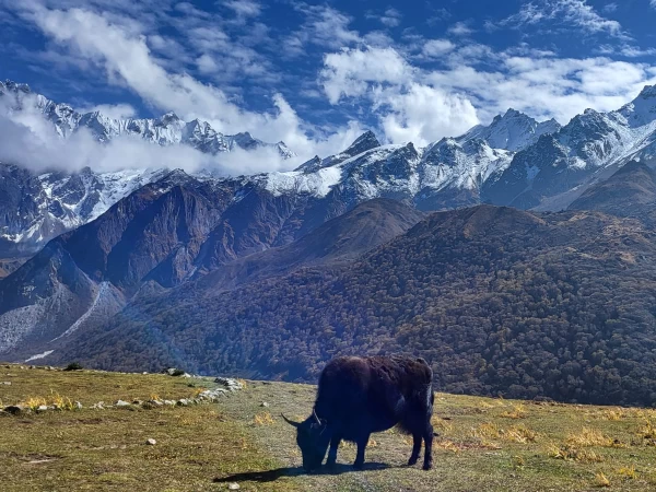  Angtang Valley Trekking