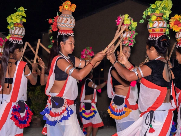 12. Chitwan Tharu Culture Dance