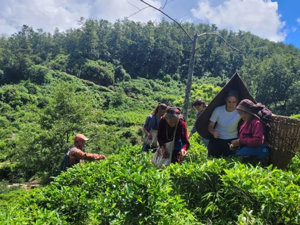 Clients In Gurung Cutlure