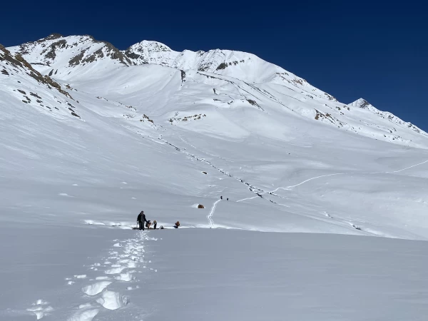 Cross High Pass