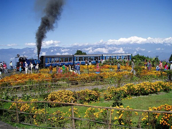 Darjeeling Toy Train