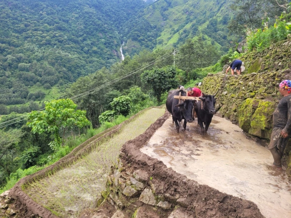 Farming With Locals In Bhujug
