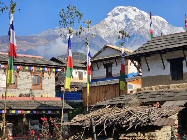 Ghorepani Trek
