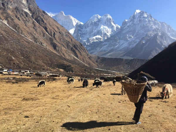 Kanchenjunga 4