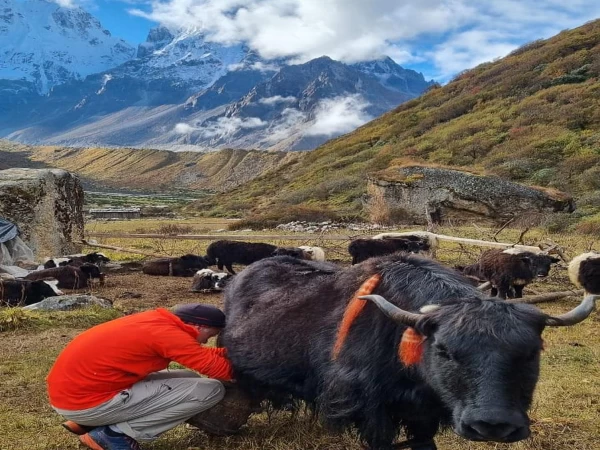 Locals In Kanchenjunga Trek