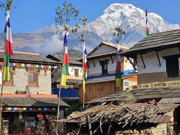 Poonhilltrek