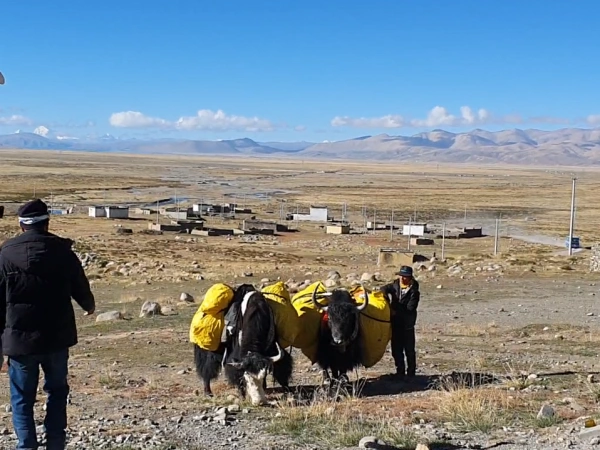 Tibet Kailash Tour 