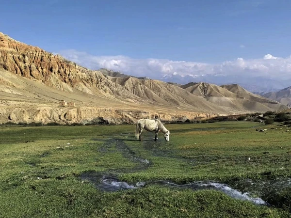Upper Mustang Nepal 2