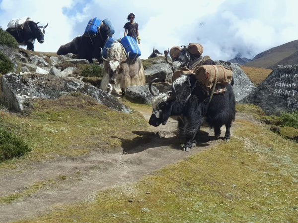 everest-gokyo-lake-trek