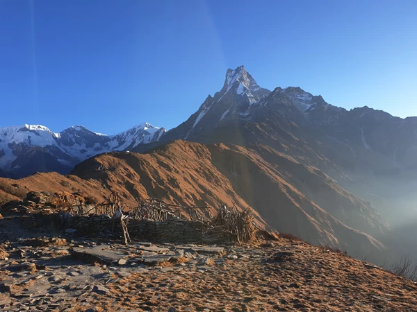 high-camp