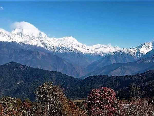 khopra-danda-short-trek