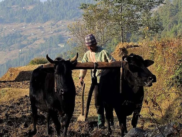 khopra-danda