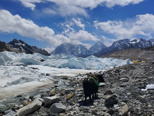 manaslu-base-camp-trek