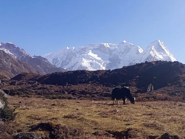 ramche---kanchenjunga-trek-1