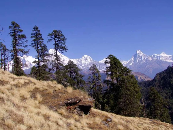 Khopra Danda Trek - 13 Days