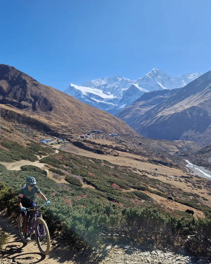 Nepal Mountain Biking Tours