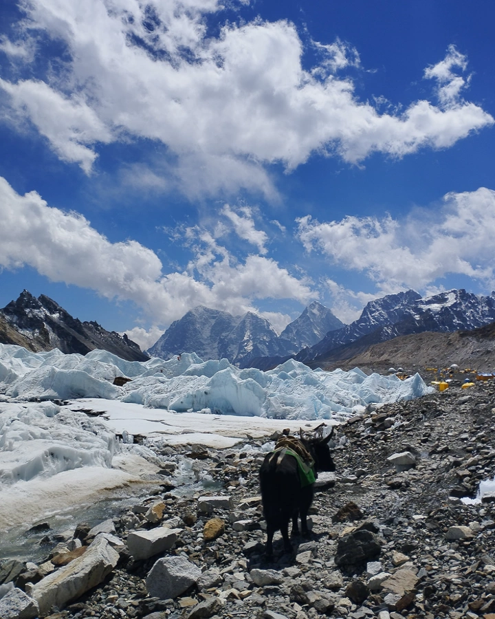 Trekking in the mighty Everest Region